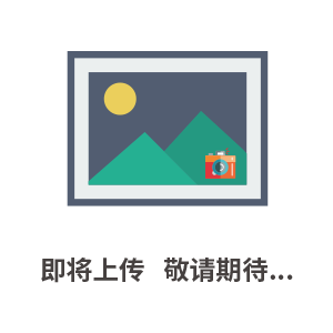 IC455DH/IC650DH 雙刀頭雙區(qū)域數(shù)控振動刀皮革切割機|電腦皮革切割機|電腦數(shù)控機